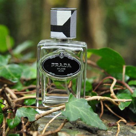 prada vetiver notes|Prada infusion.